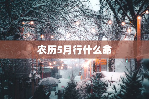 农历5月行什么命