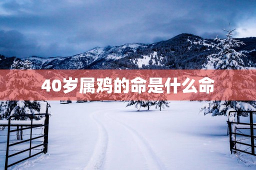 40岁属鸡的命是什么命