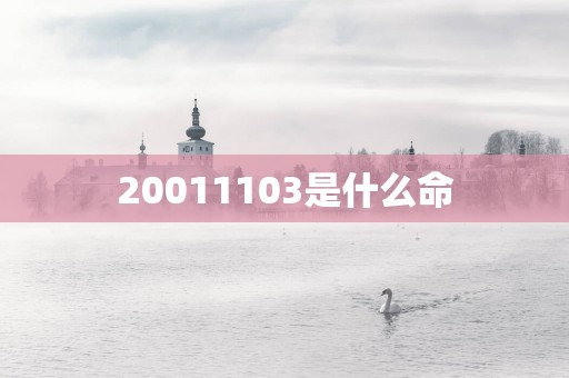 20011103是什么命