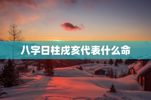 八字日柱戌亥代表什么命