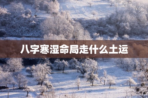 八字寒湿命局走什么土运