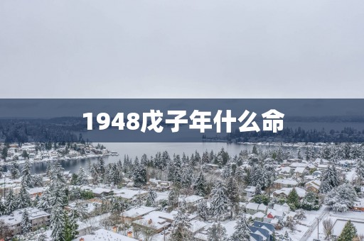 1948戊子年什么命