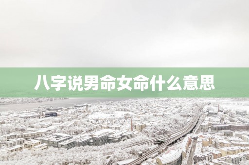 八字说男命女命什么意思