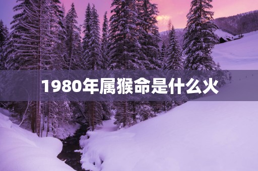 1980年属猴命是什么火
