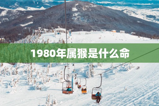 1980年属猴是什么命