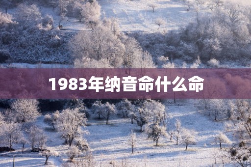 1983年纳音命什么命