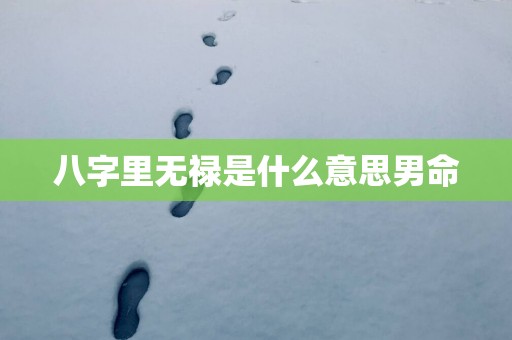 八字里无禄是什么意思男命