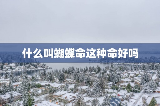 什么叫蝴蝶命这种命好吗