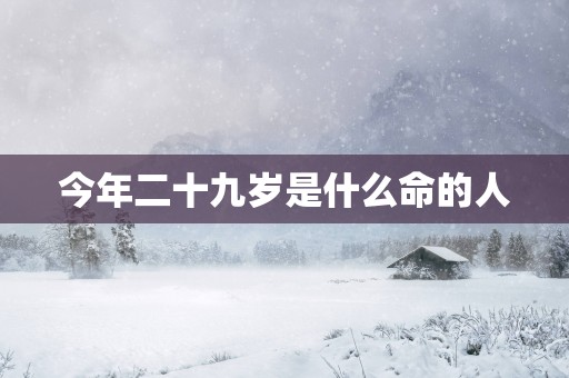 今年二十九岁是什么命的人