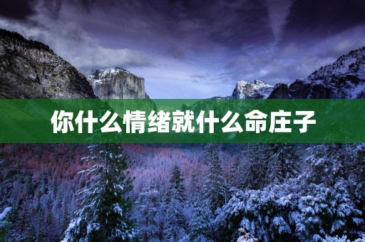 你什么情绪就什么命庄子