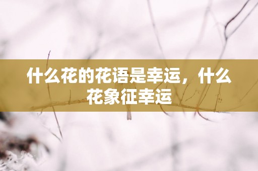 什么花的花语是幸运，什么花象征幸运
