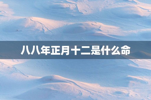 八八年正月十二是什么命