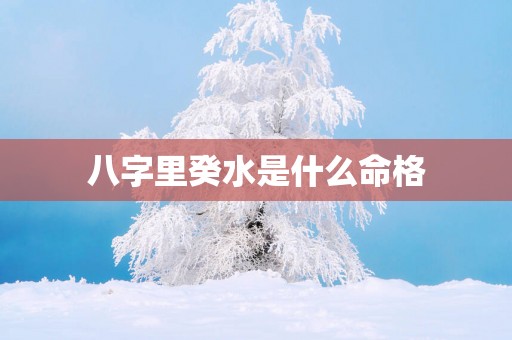 八字里癸水是什么命格