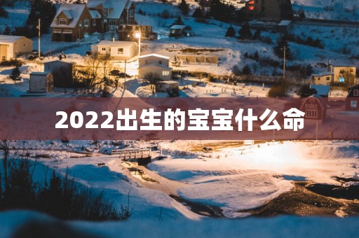 2022出生的宝宝什么命