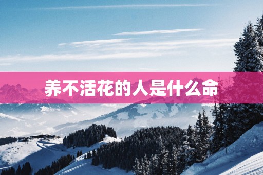 养不活花的人是什么命