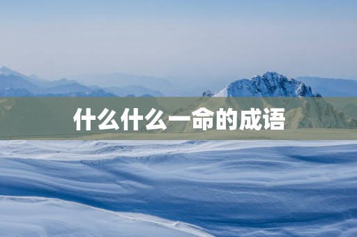什么什么一命的成语