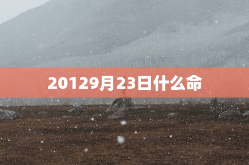 20129月23日什么命