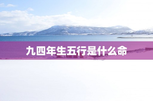 九四年生五行是什么命