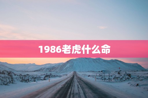 1986老虎什么命