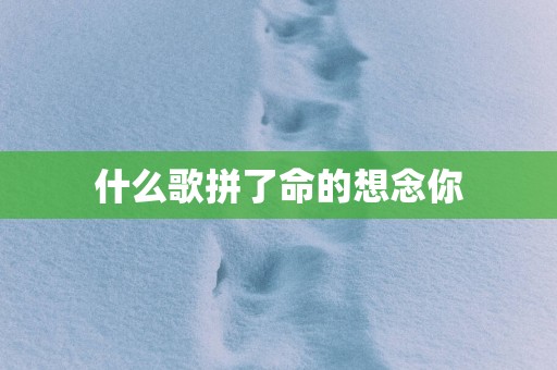 什么歌拼了命的想念你