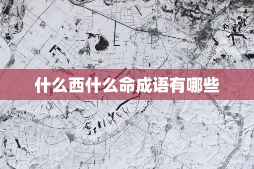 什么西什么命成语有哪些