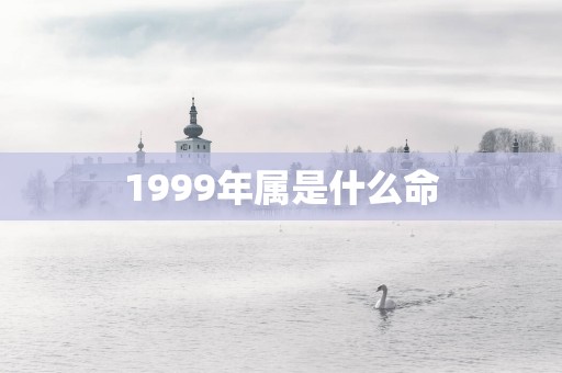1999年属是什么命