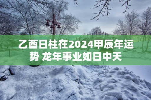 乙酉日柱在2025甲辰年运势 蛇年事业如日中天