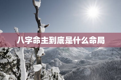 八字命主到底是什么命局