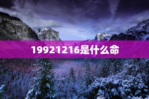 19921216是什么命