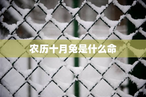 农历十月兔是什么命