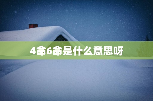 4命6命是什么意思呀