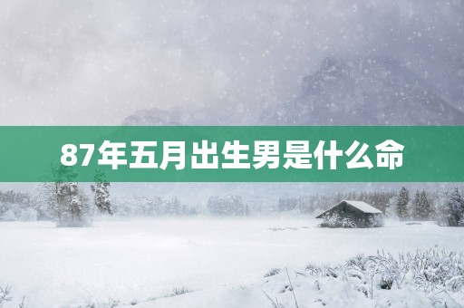 87年五月出生男是什么命