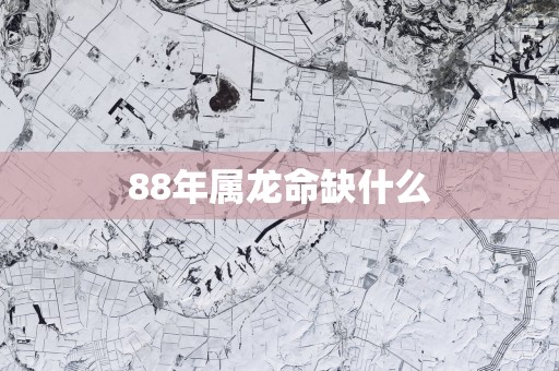 88年属龙命缺什么