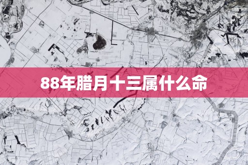 88年腊月十三属什么命