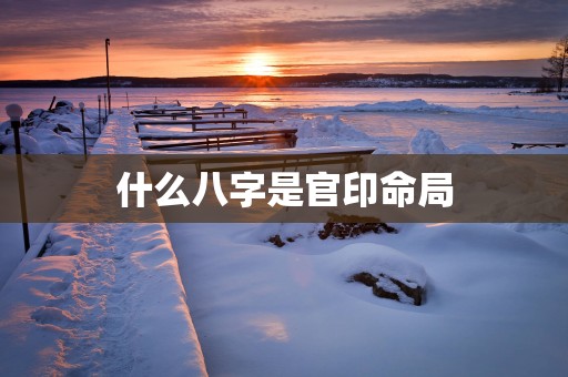 什么八字是官印命局