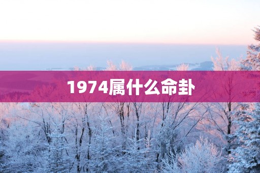 1974属什么命卦