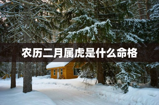 农历二月属虎是什么命格