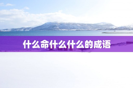 什么命什么什么的成语