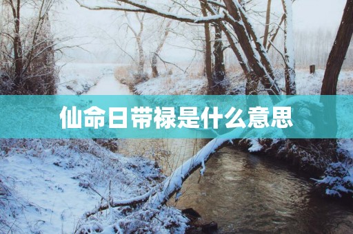 仙命日带禄是什么意思