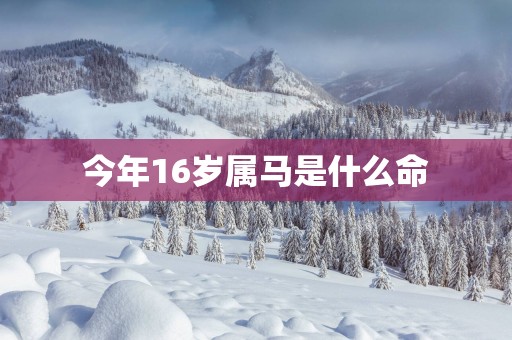 今年16岁属马是什么命
