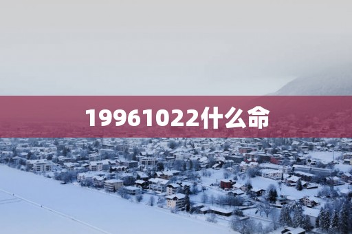 19961022什么命