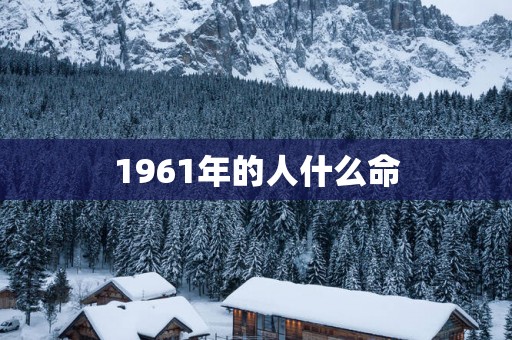 1961年的人什么命