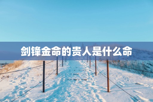 剑锋金命的贵人是什么命