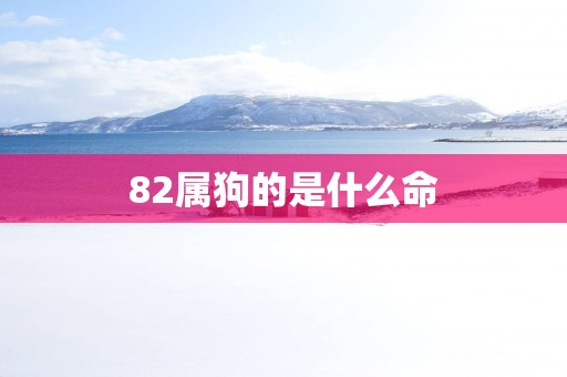 82属狗的是什么命