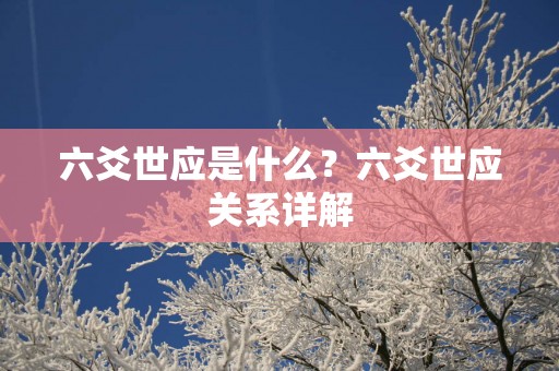 六爻世应是什么？六爻世应关系详解