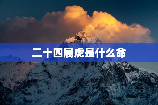 二十四属虎是什么命