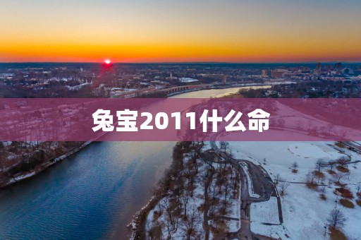 兔宝2011什么命