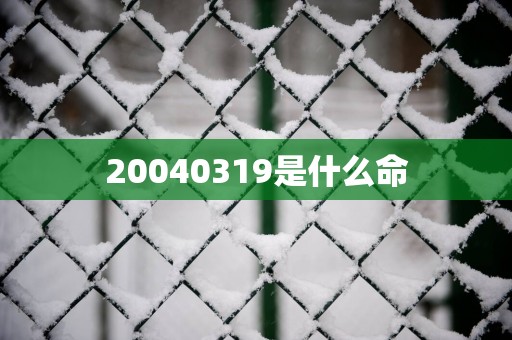 20040319是什么命