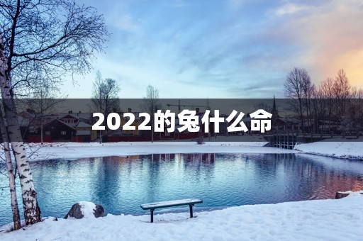 2022的兔什么命