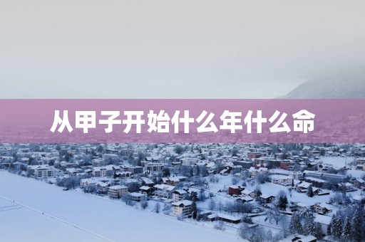 从甲子开始什么年什么命